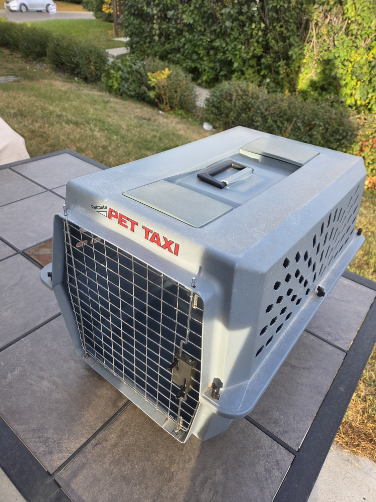 Petmate Pet Taxi Carrier