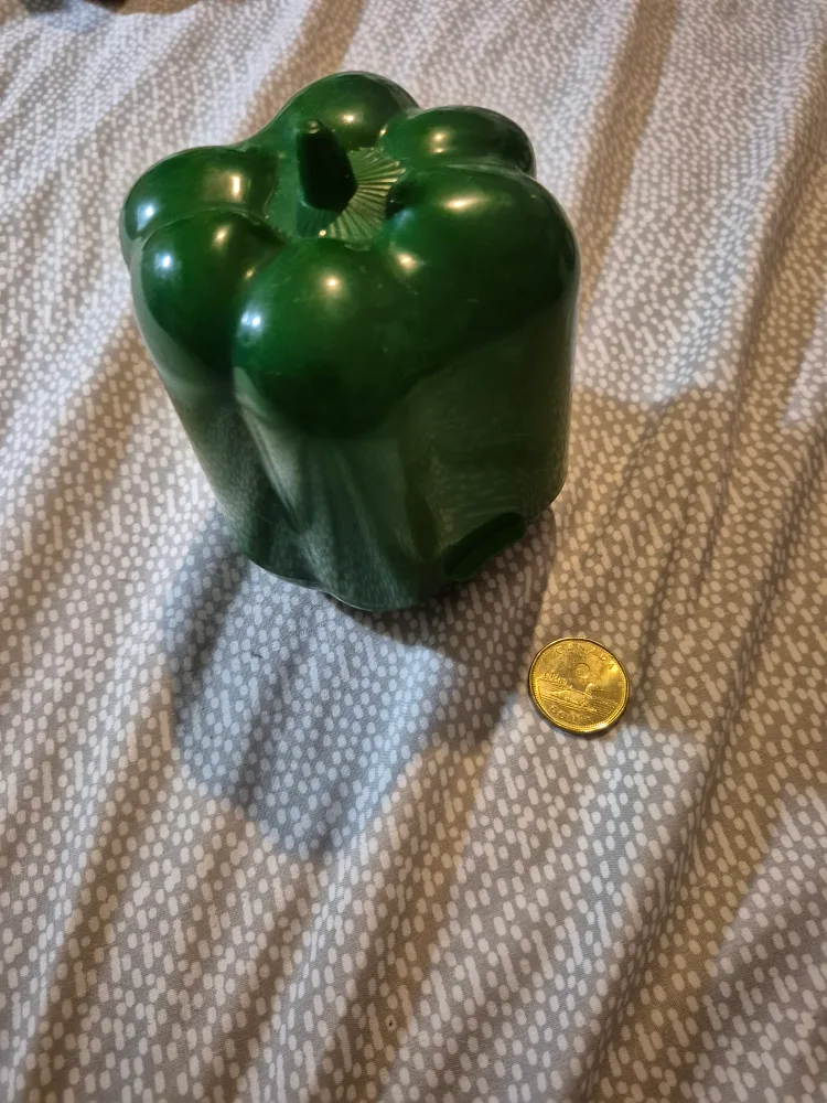 Green Bell Pepper Container