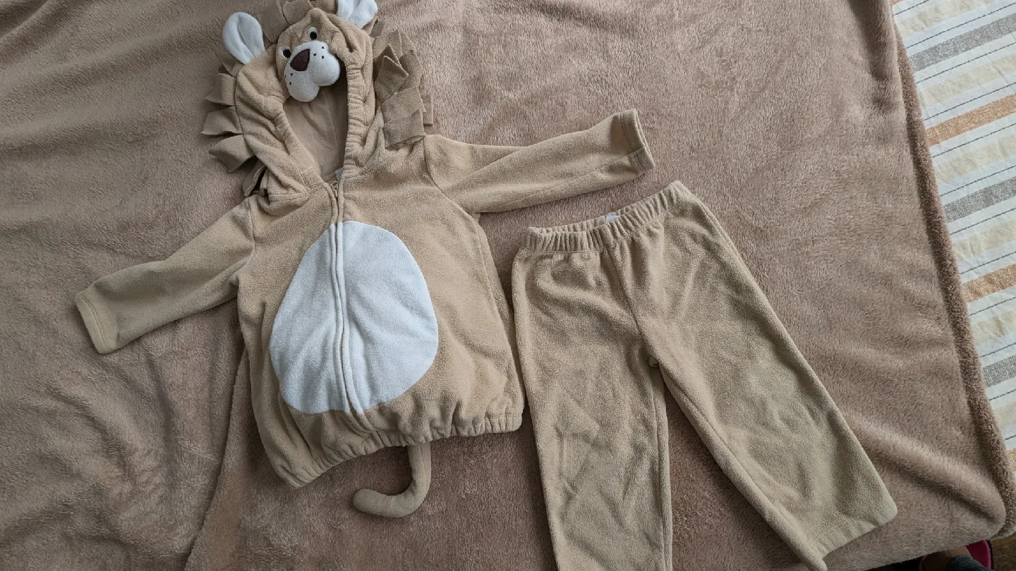 Carter's Lion Costume - 18 Months image indicator(2)