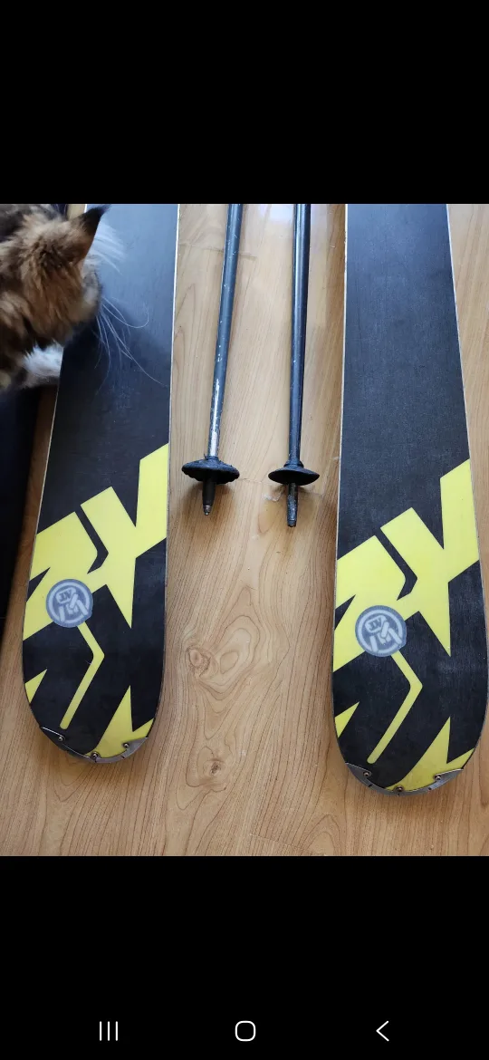 Skis and Swix Poles. 174cm image indicator(2)