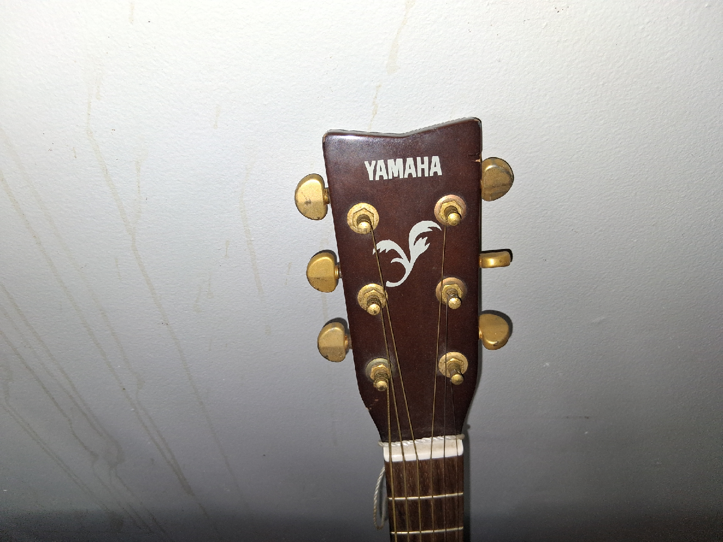 Fender, Yamaha, Rogue Acoustic Guitars - photo 4