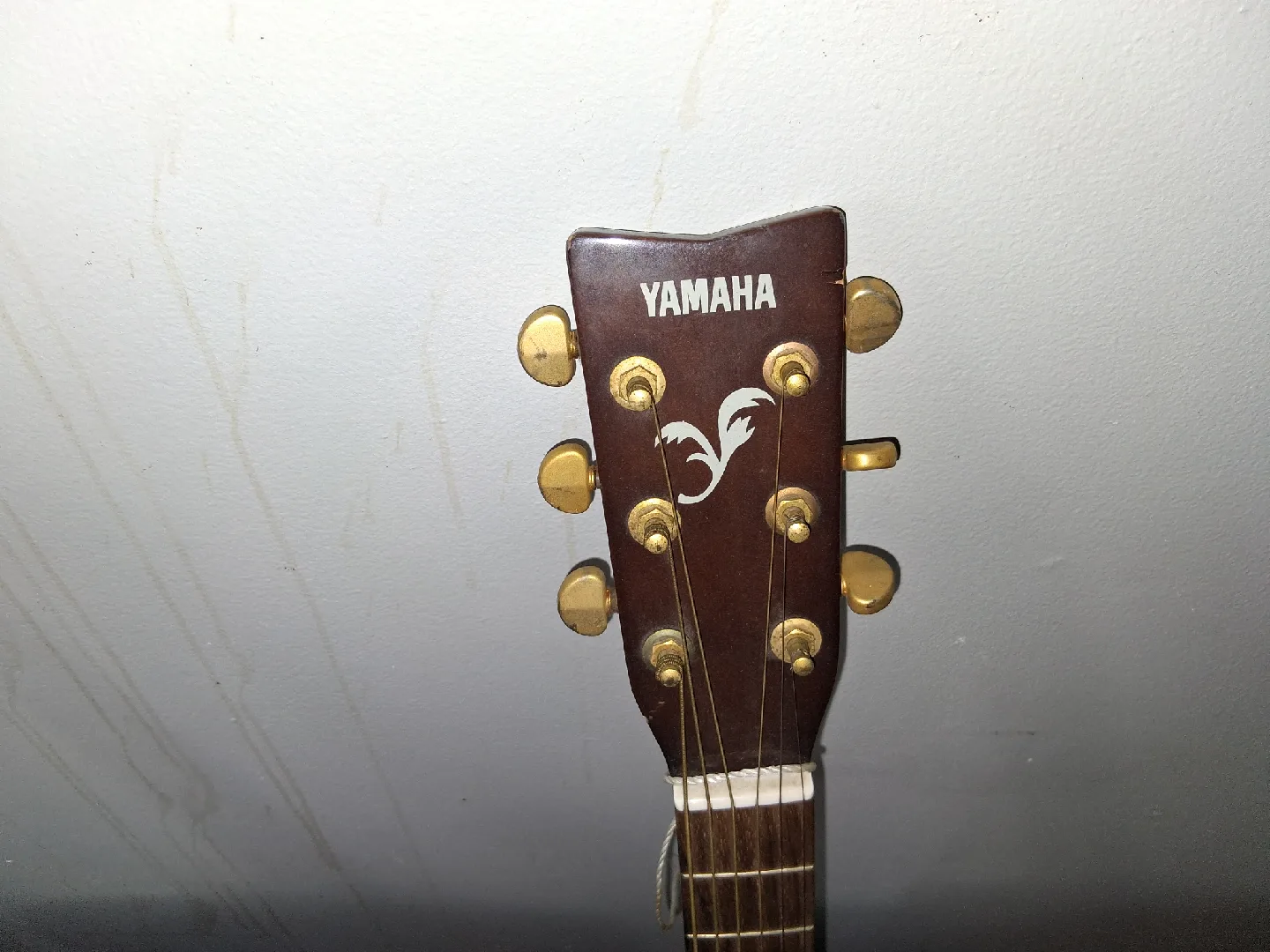 Fender, Yamaha, Rogue Acoustic Guitars image indicator(4)