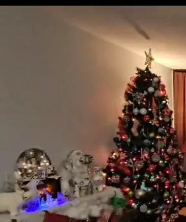 7.5ft Balsam Fir Full Christmas Tree image indicator(5)