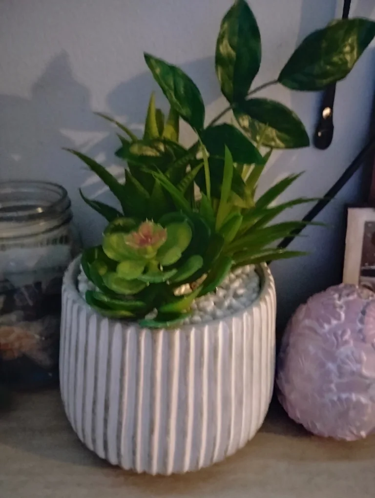 Assorted Home Decor thumbnail