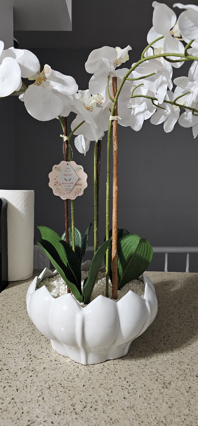 Homesense White Orchid Arrangement - photo 2