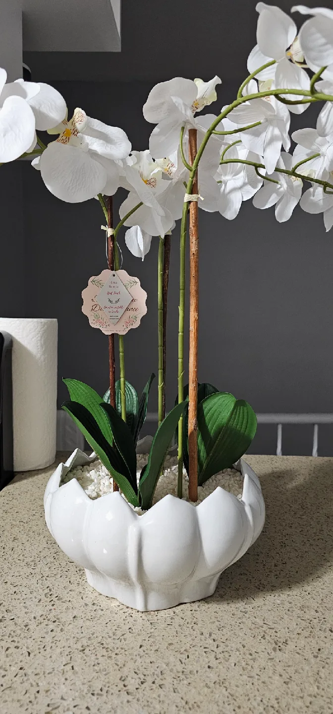 Homesense White Orchid Arrangement image indicator(2)