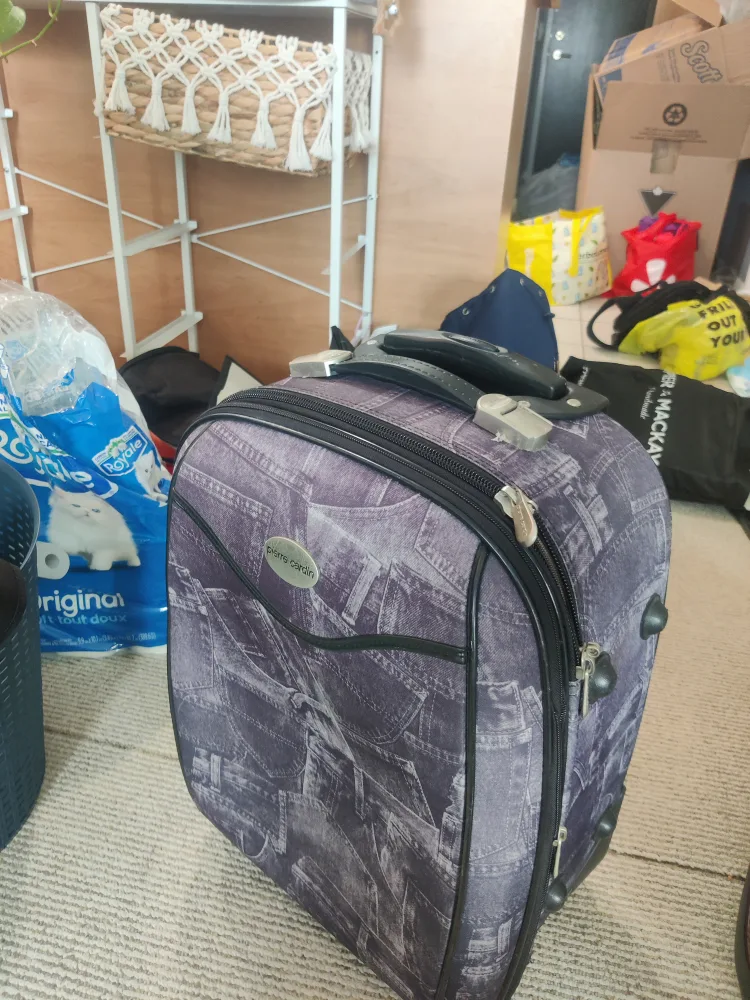 Pierre Cardin Carry-On Suitcase