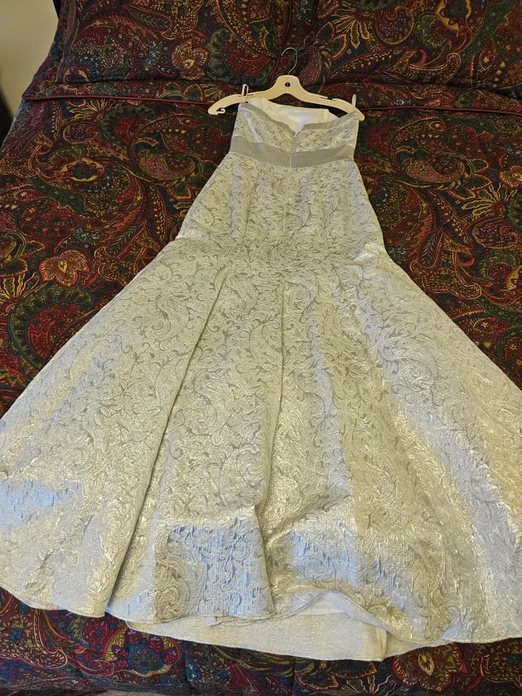 Strapless Silver Wedding Dress image indicator(2)