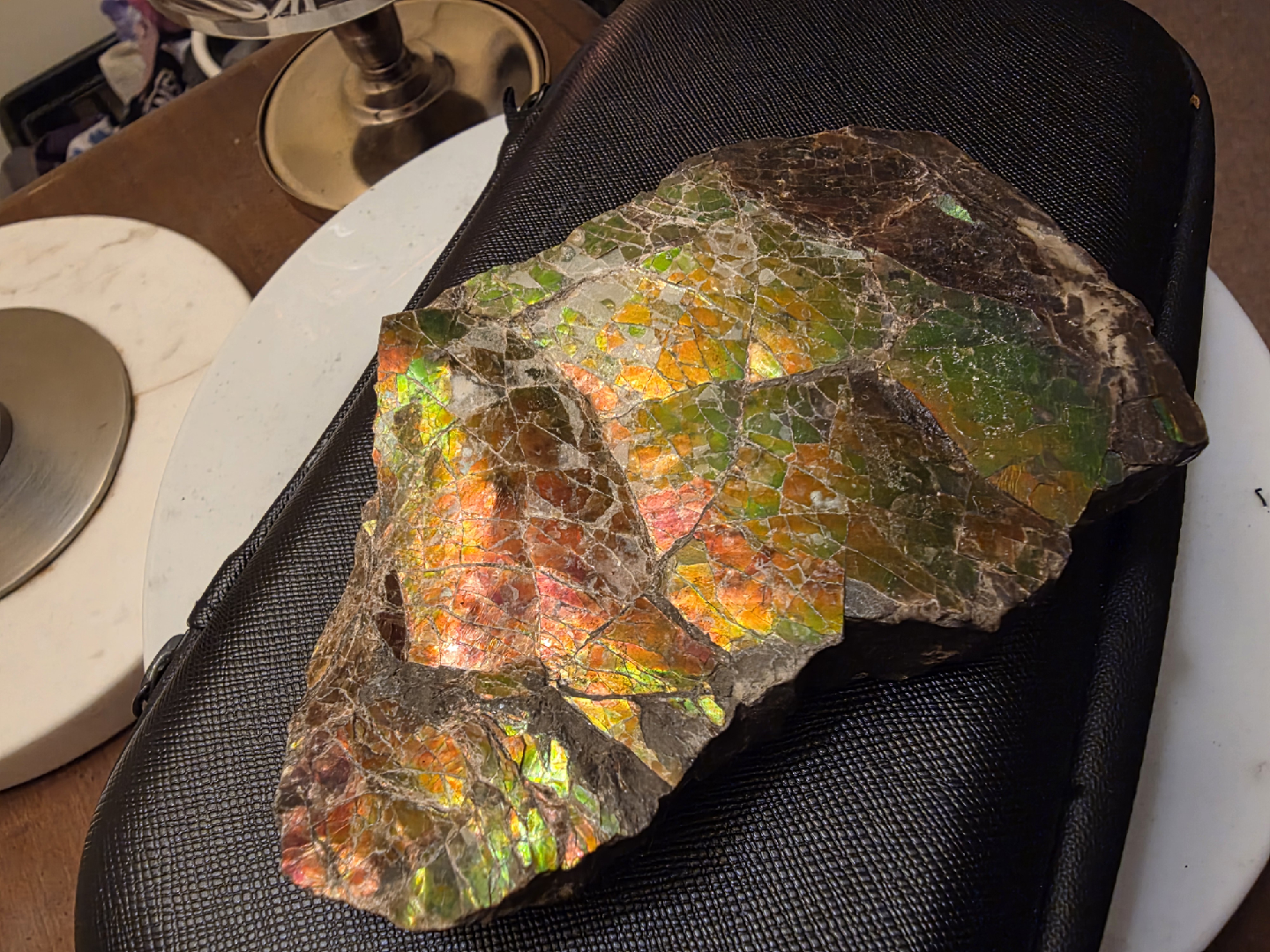 Large iridescent ammolite fossil