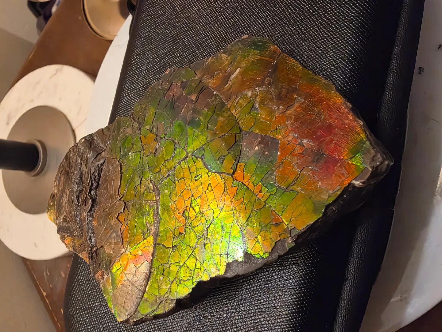 Large iridescent ammolite fossil image indicator(2)