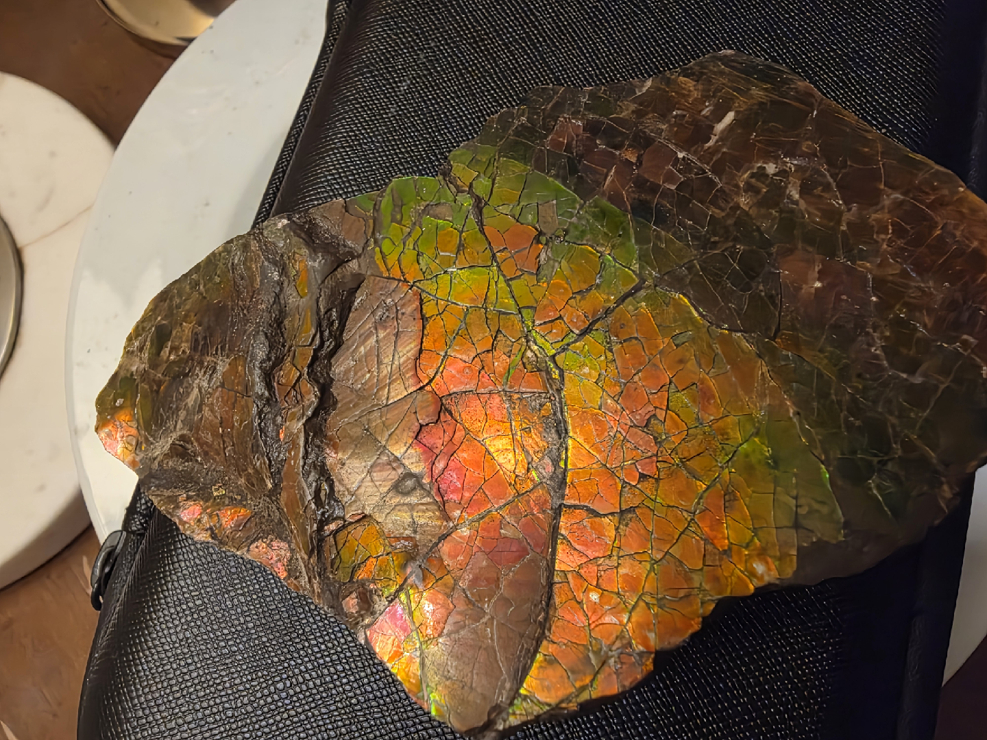 Large iridescent ammolite fossil - photo 3