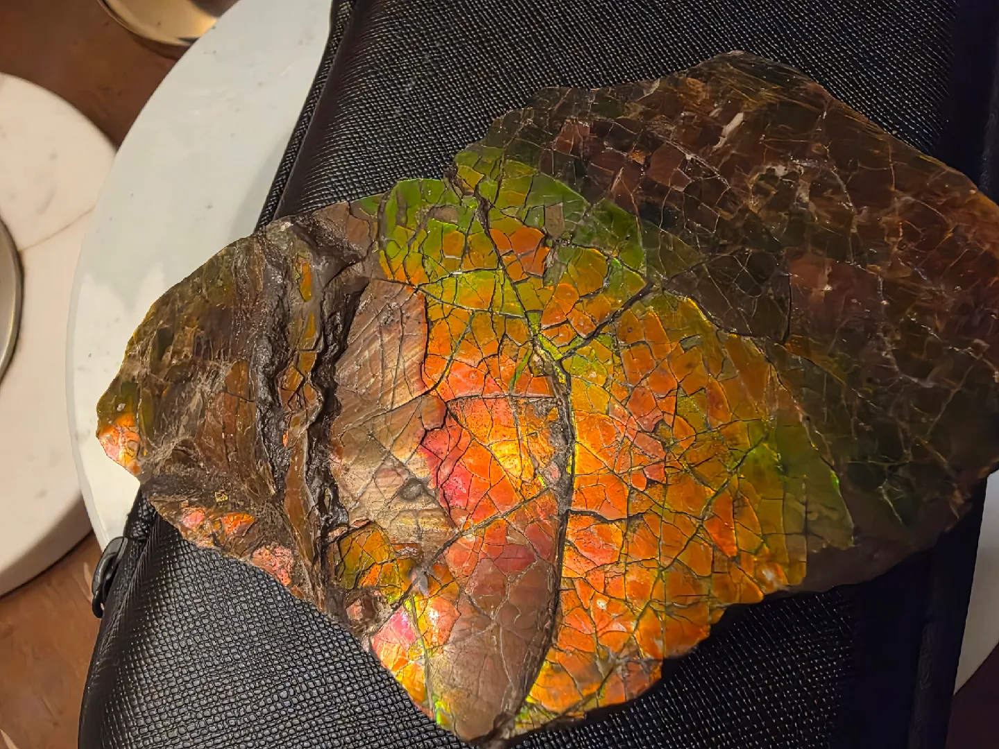 Large iridescent ammolite fossil image indicator(3)