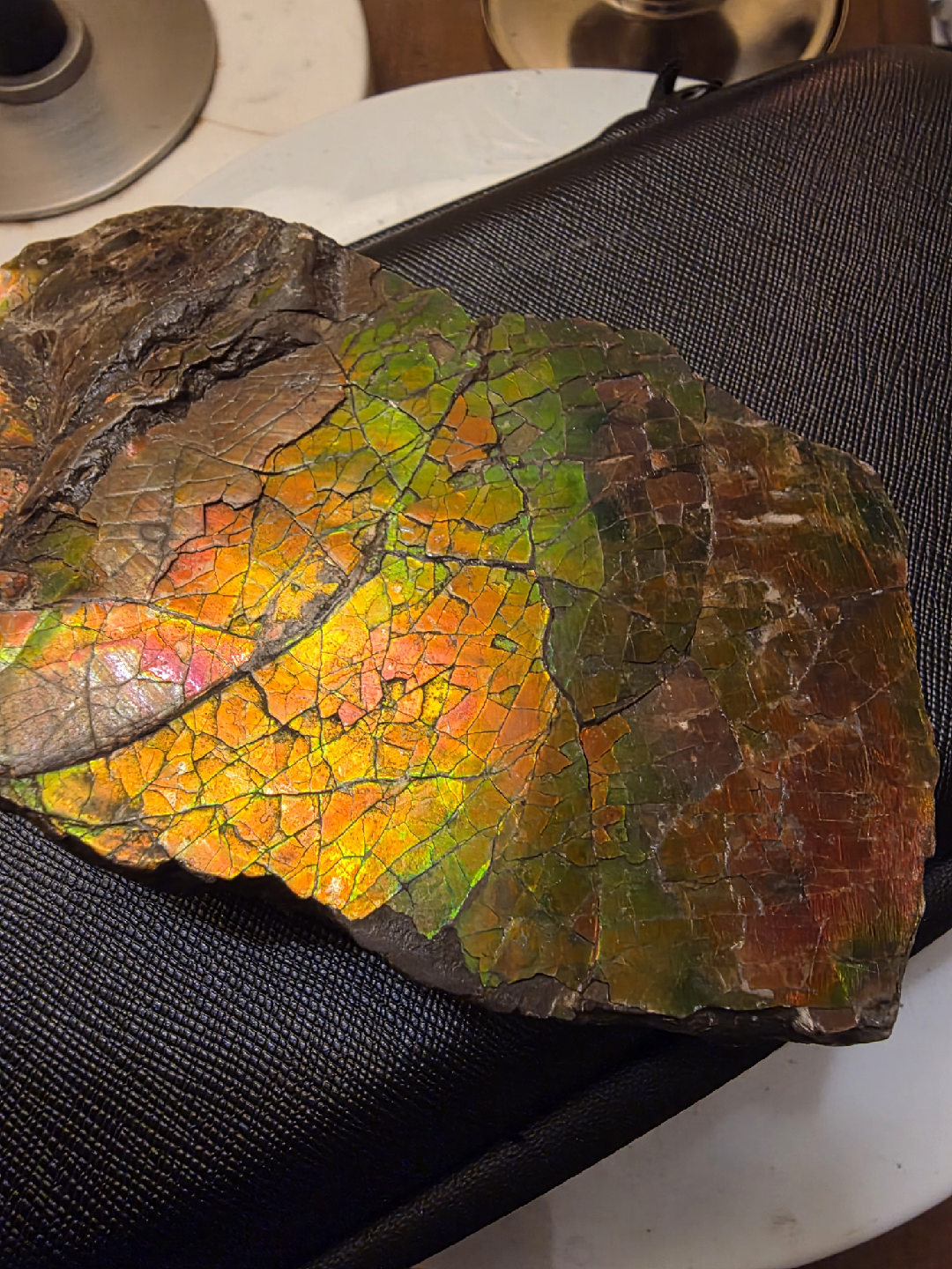 Large iridescent ammolite fossil - photo 4