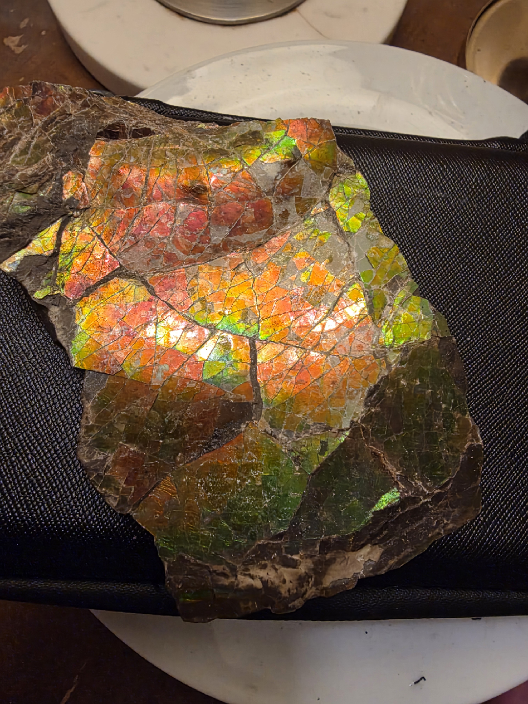 Large iridescent ammolite fossil - photo 5