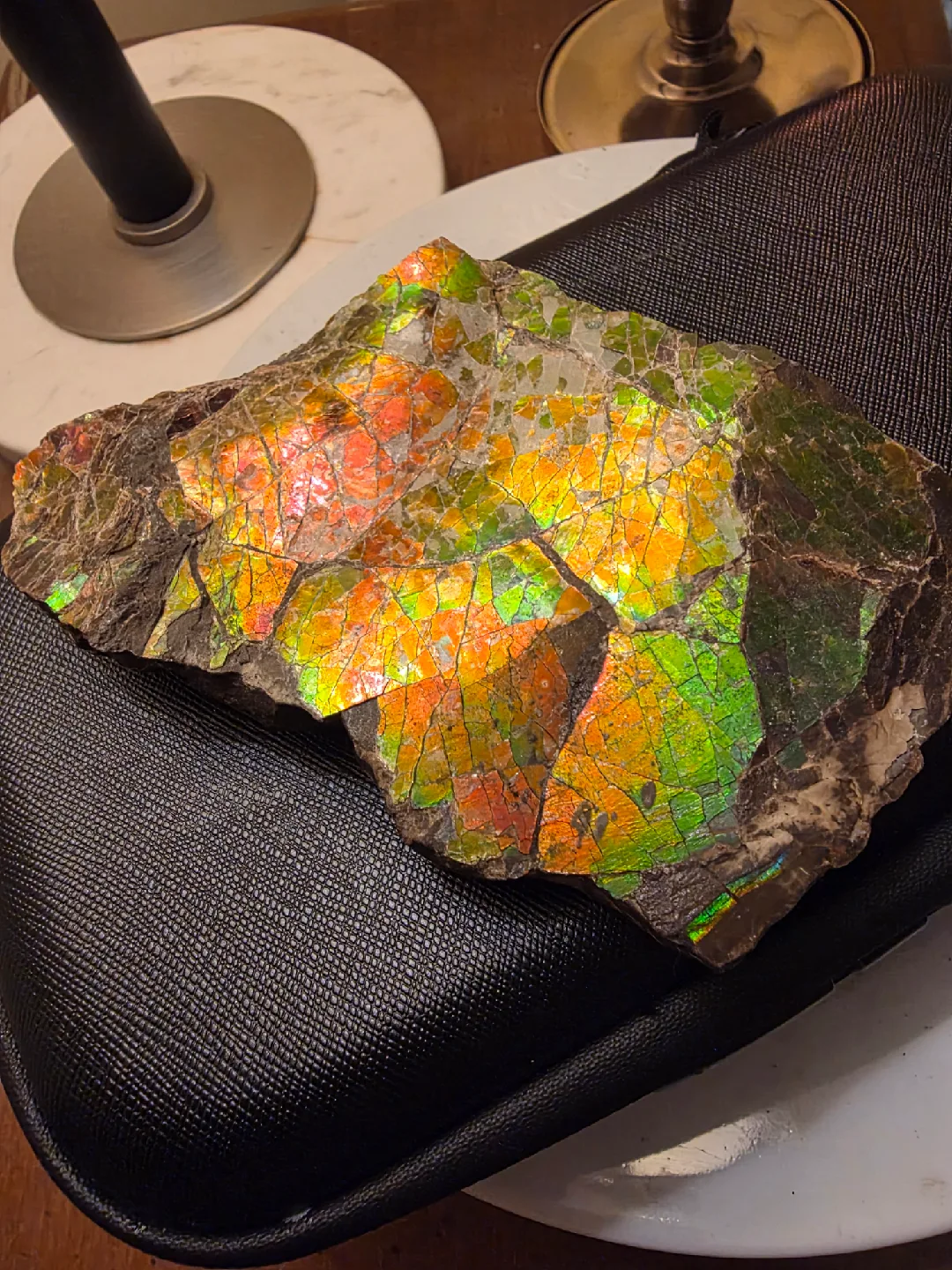 Large iridescent ammolite fossil image indicator(6)