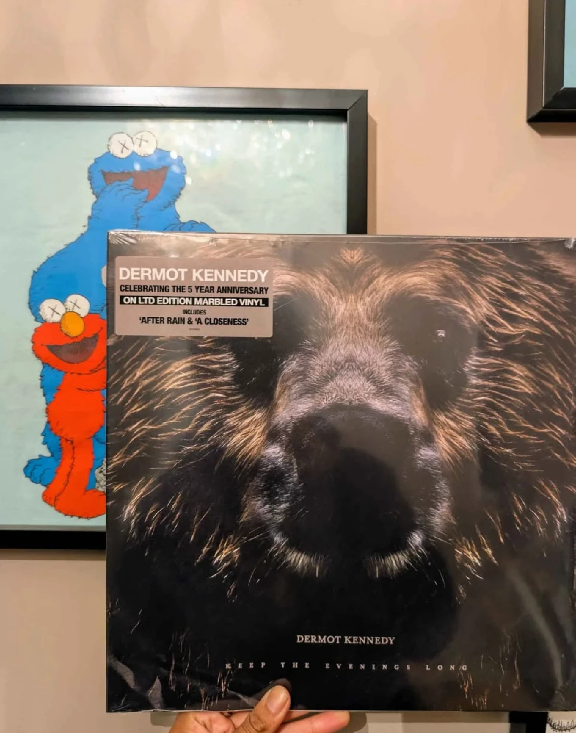 Dermot Kennedy limited edition vinyl