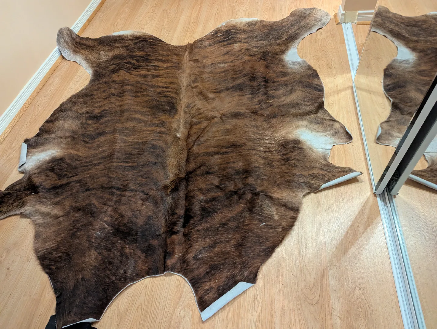 Cowhide Rug image indicator(2)