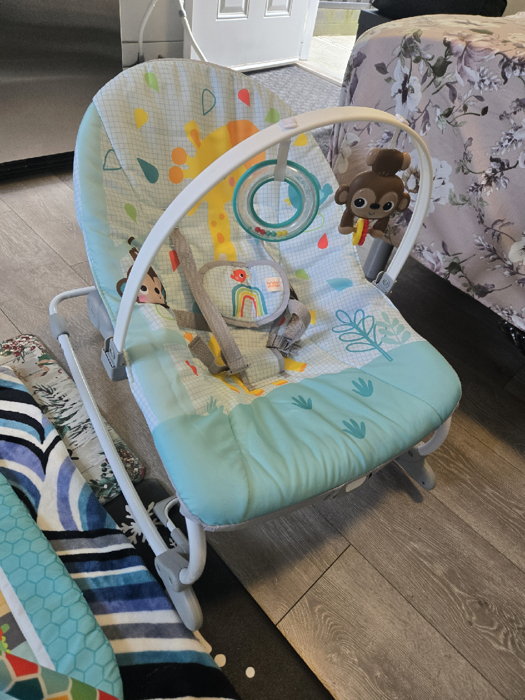 Bright Starts Baby Bouncer