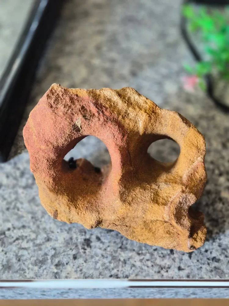 3 Gallon Fish Tank with accessories image indicator(5)