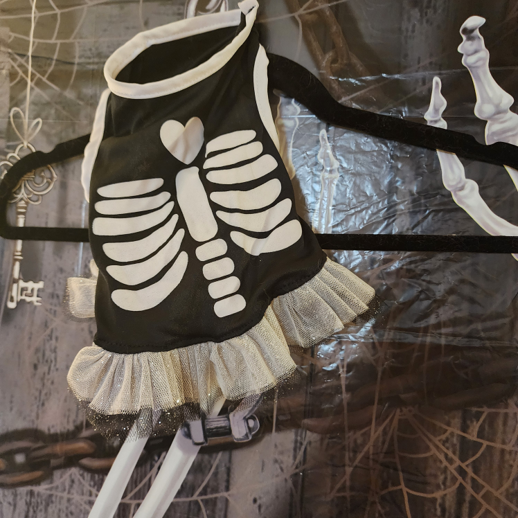 Skeleton Dog / Cat Costume - Size Small