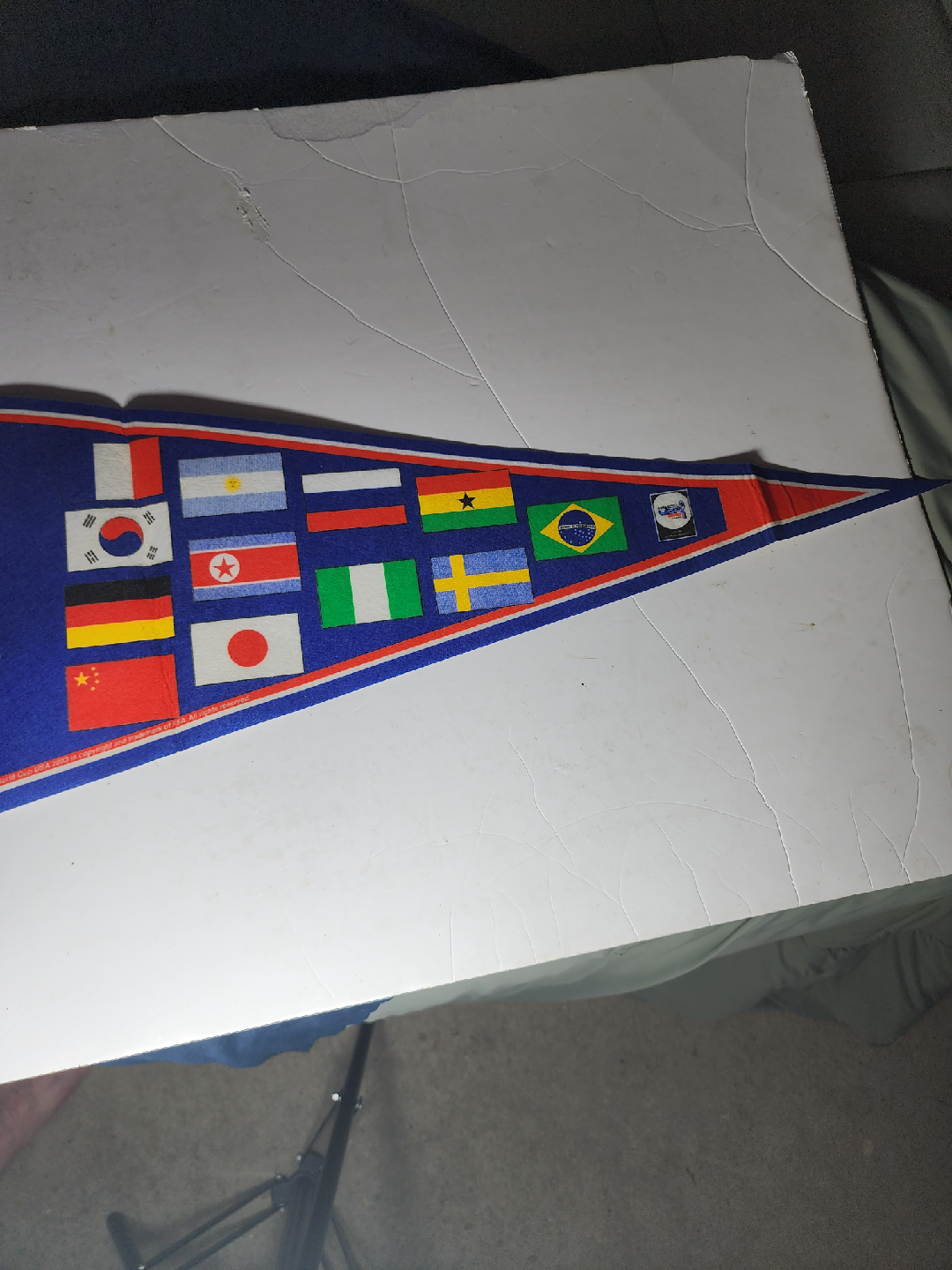 FIFA Women's World Cup USA 2003 Pennant - photo 3