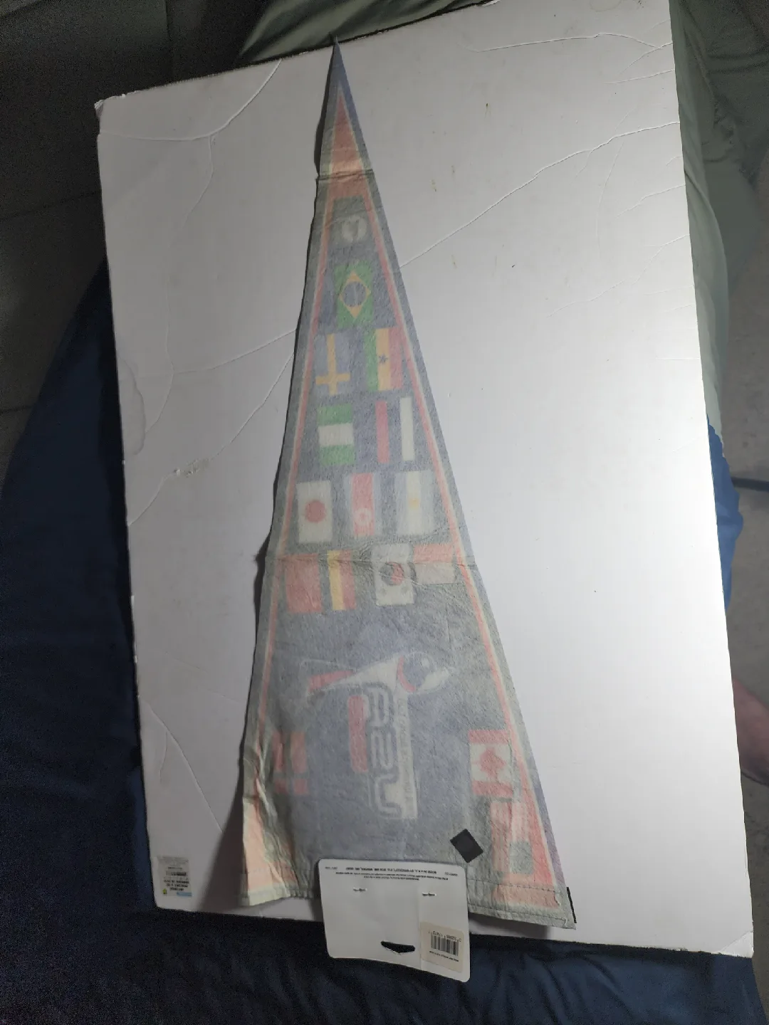 FIFA Women's World Cup USA 2003 Pennant image indicator(6)