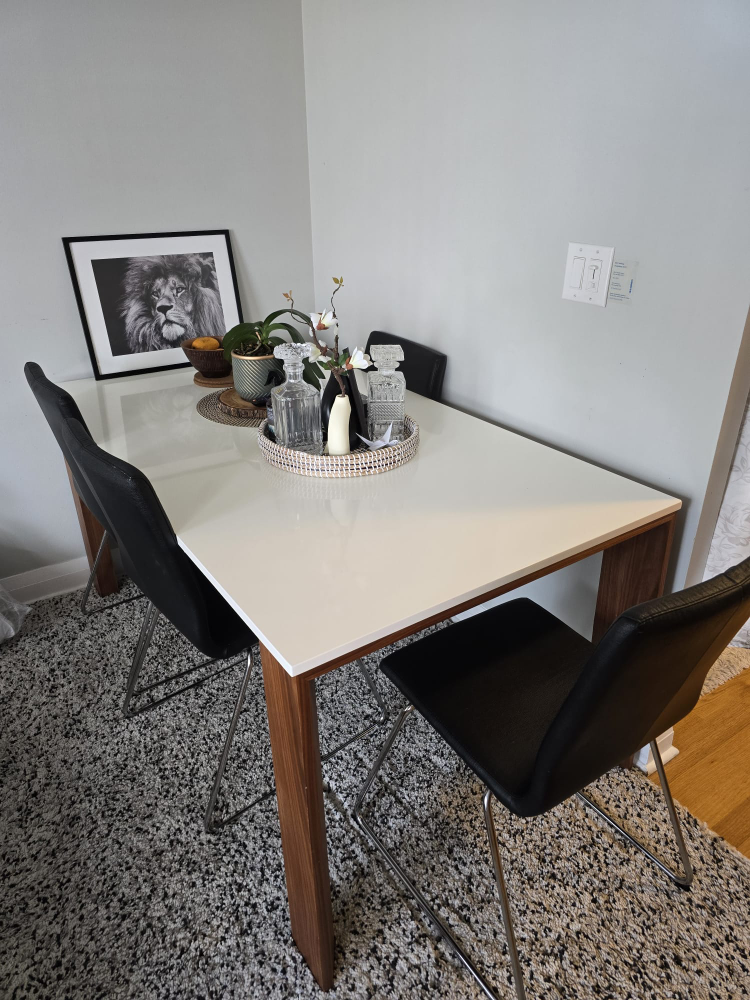 Modern Dining Table with Chairs
