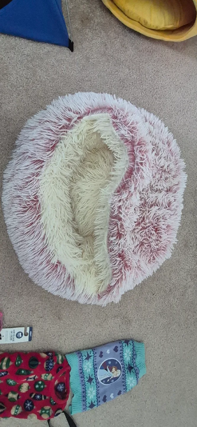 Cat Collars, Harnesses, Toys & Bed image indicator(6)