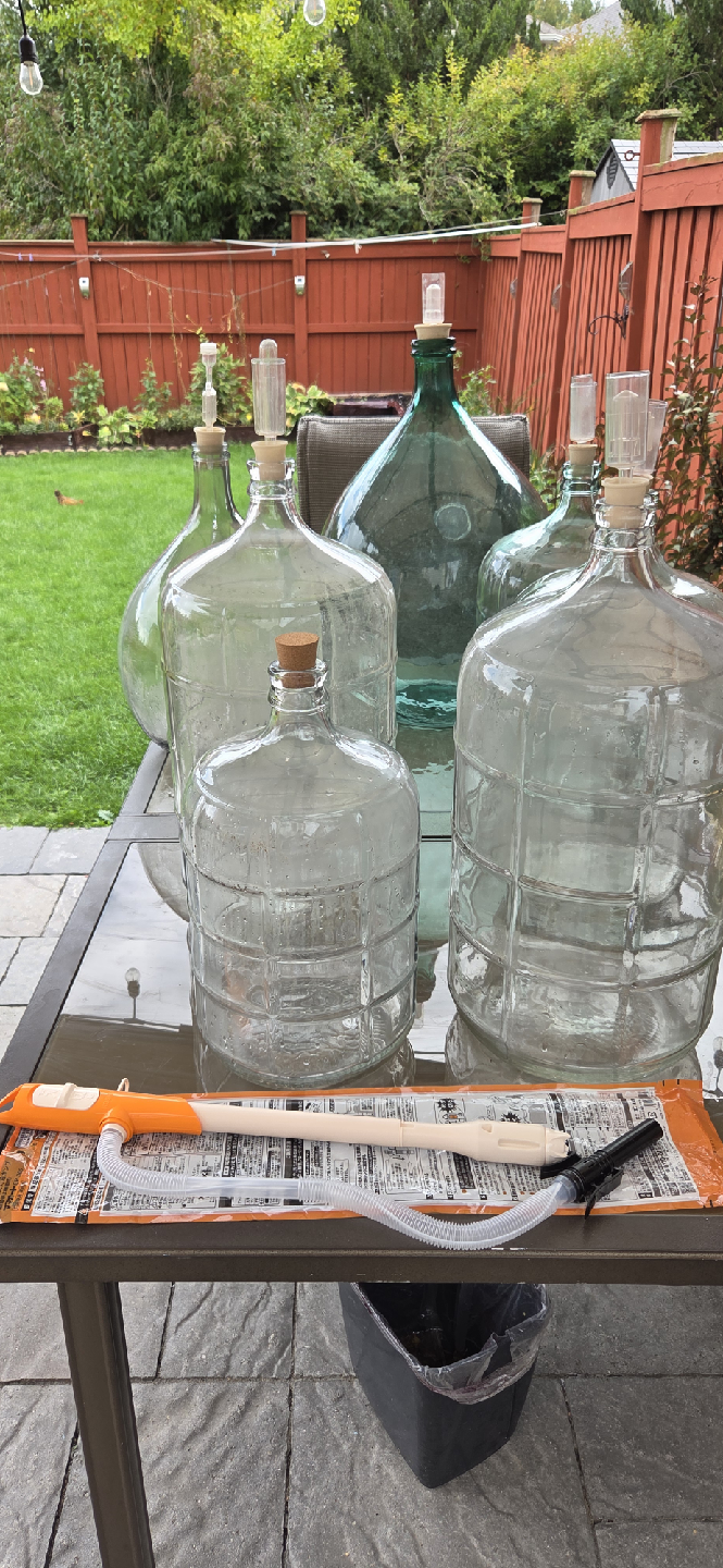 Glass Carboys & Siphon Pump