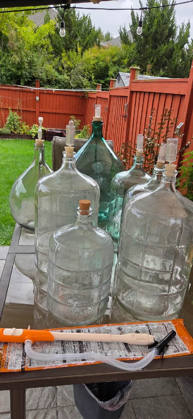 Glass Carboys & Siphon Pump image indicator(8)