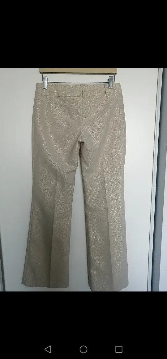 H&M - Metallic Gold Dress Pants image indicator(2)