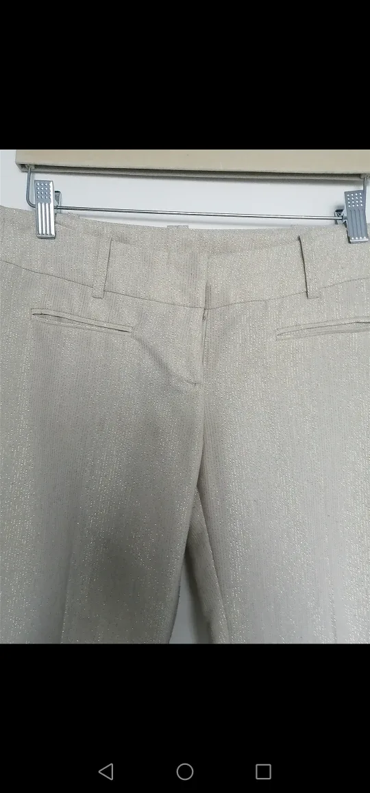 H&M - Metallic Gold Dress Pants image indicator(3)