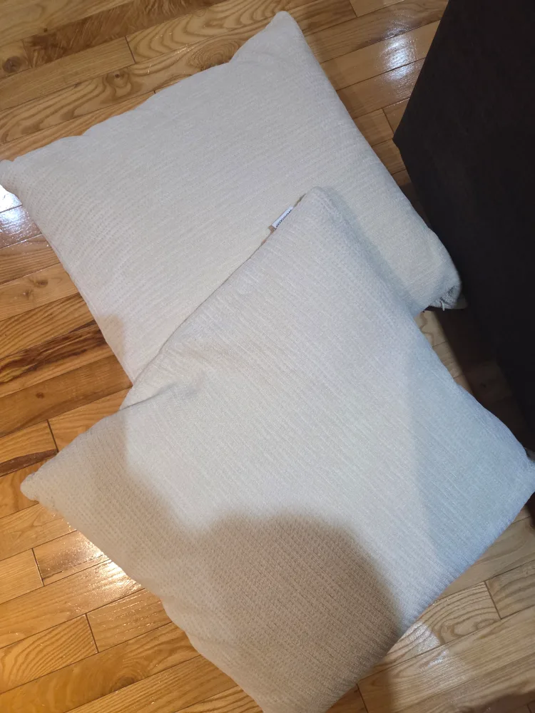 Westex Home Decorative Pillows (Set of 2) image indicator(4)