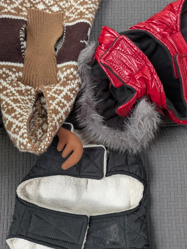 THREE Small dog coats and sweater, SMALL image indicator(5)