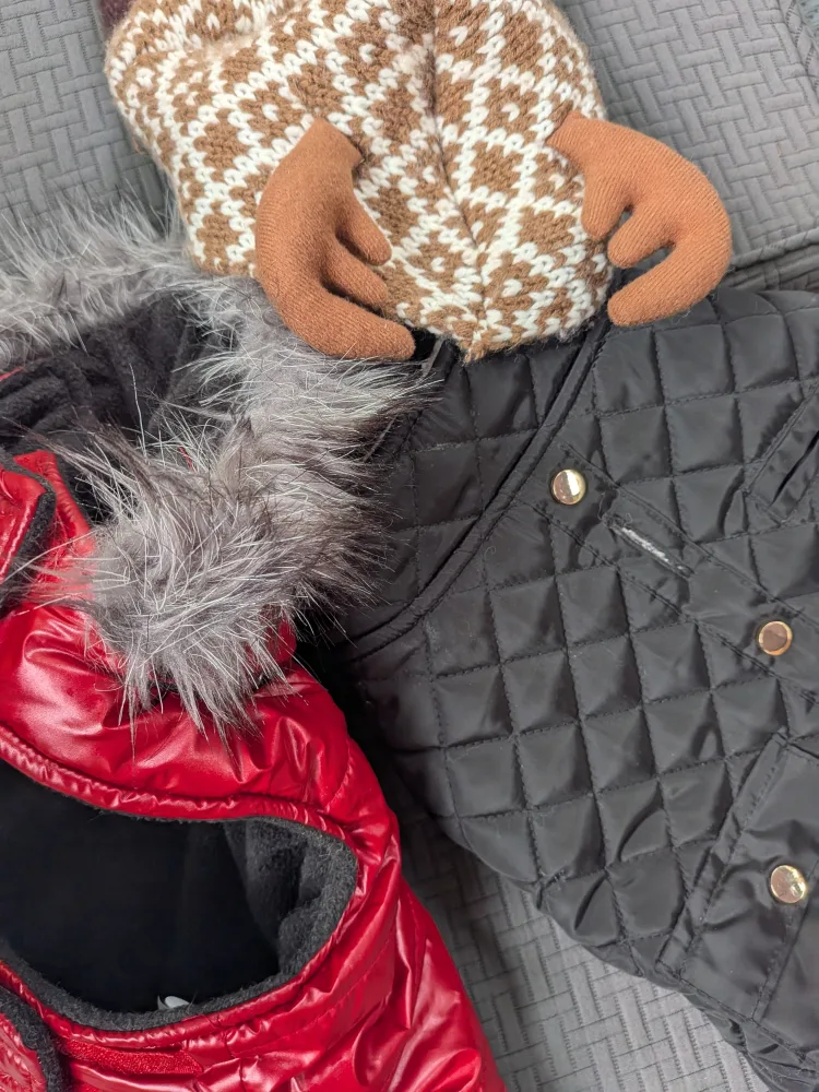 THREE Small dog coats and sweater, SMALL image indicator(6)