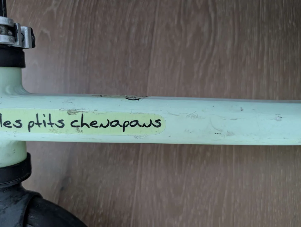 Nakamura Balance Bike - Kids' First Ride! image indicator(3)