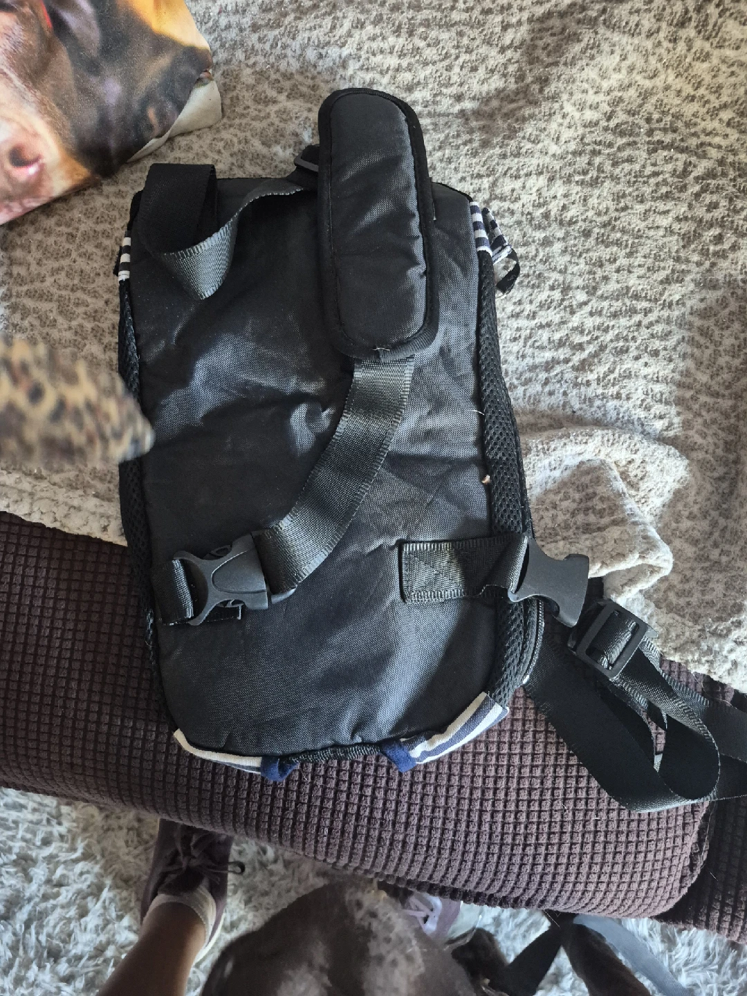 Striped Pet Carrier Backpack - photo 2