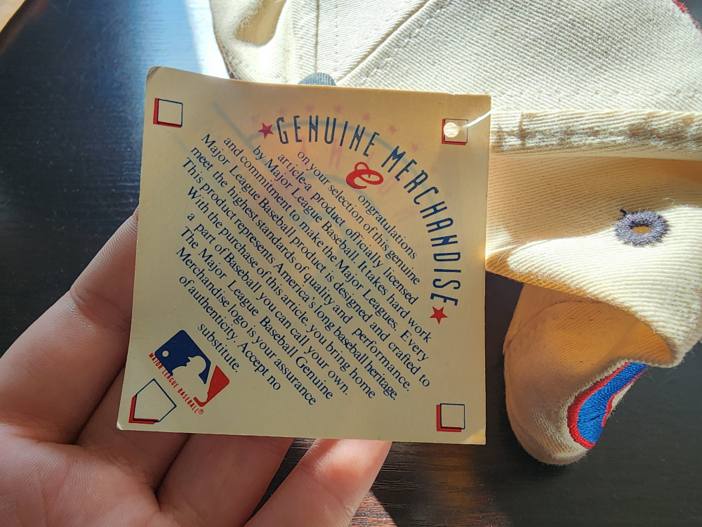 Vintage 1993 Blue Jays World Series Champions Hat - photo 3