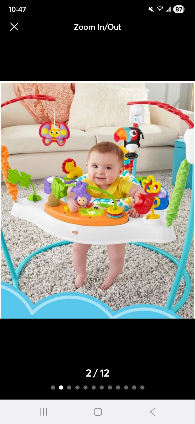 Fisher-Price Animal Activity Jumperoo Baby Bouncer