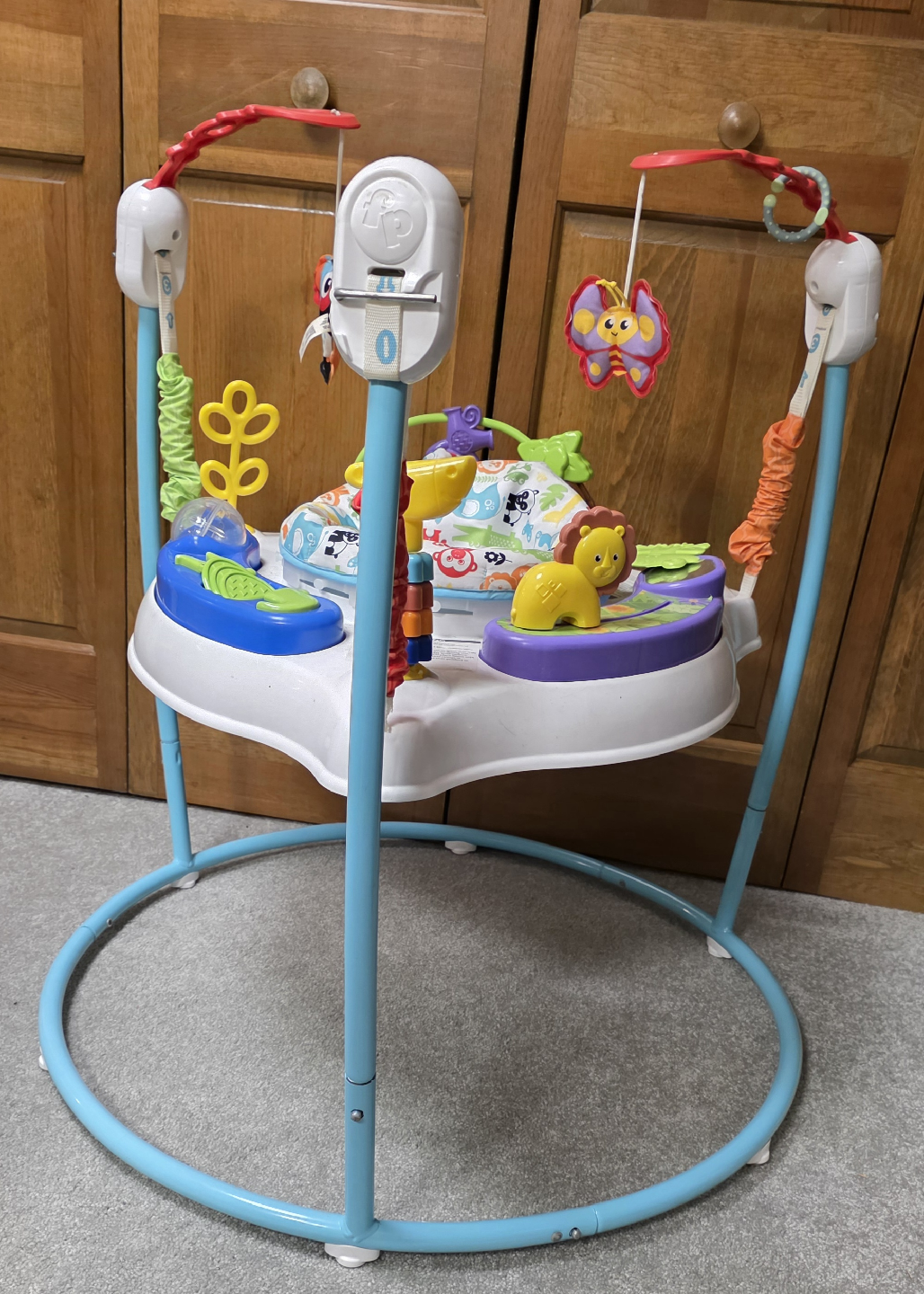 Fisher-Price Animal Activity Jumperoo Baby Bouncer - photo 2