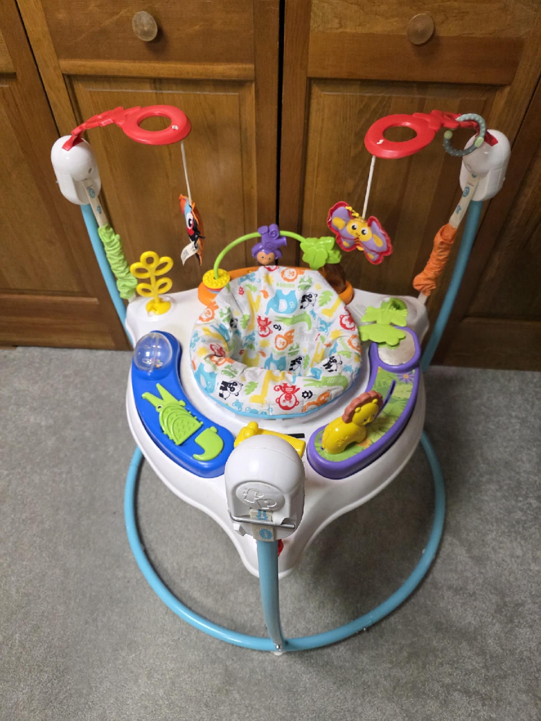 Fisher-Price Animal Activity Jumperoo Baby Bouncer - photo 4
