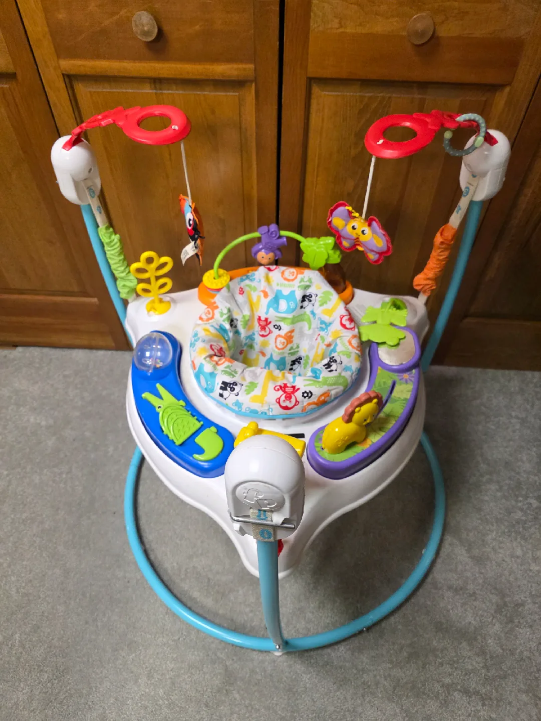 Fisher-Price Animal Activity Jumperoo Baby Bouncer image indicator(4)