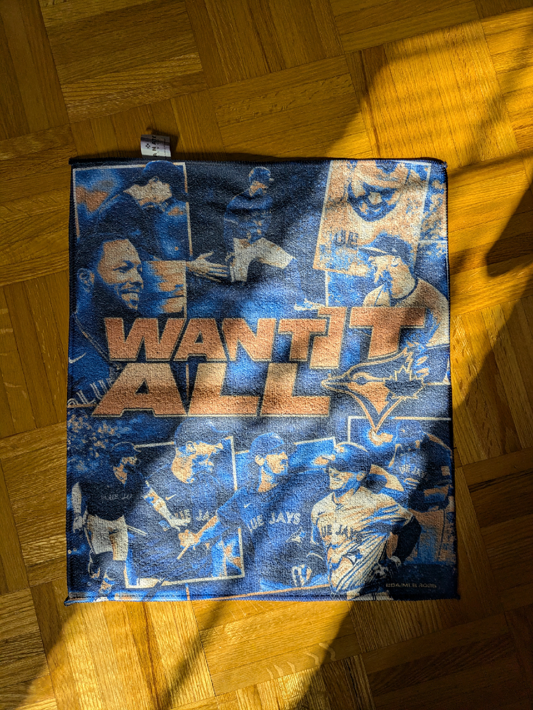 want it all Blue Jays souvenir