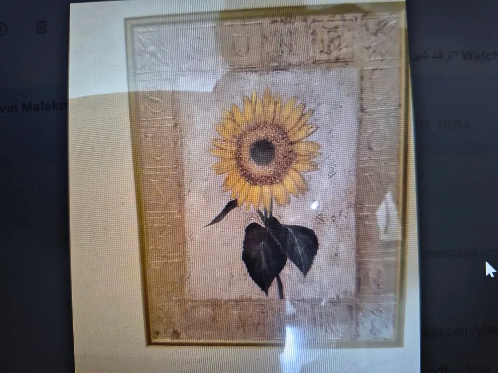 picture frames image indicator(2)