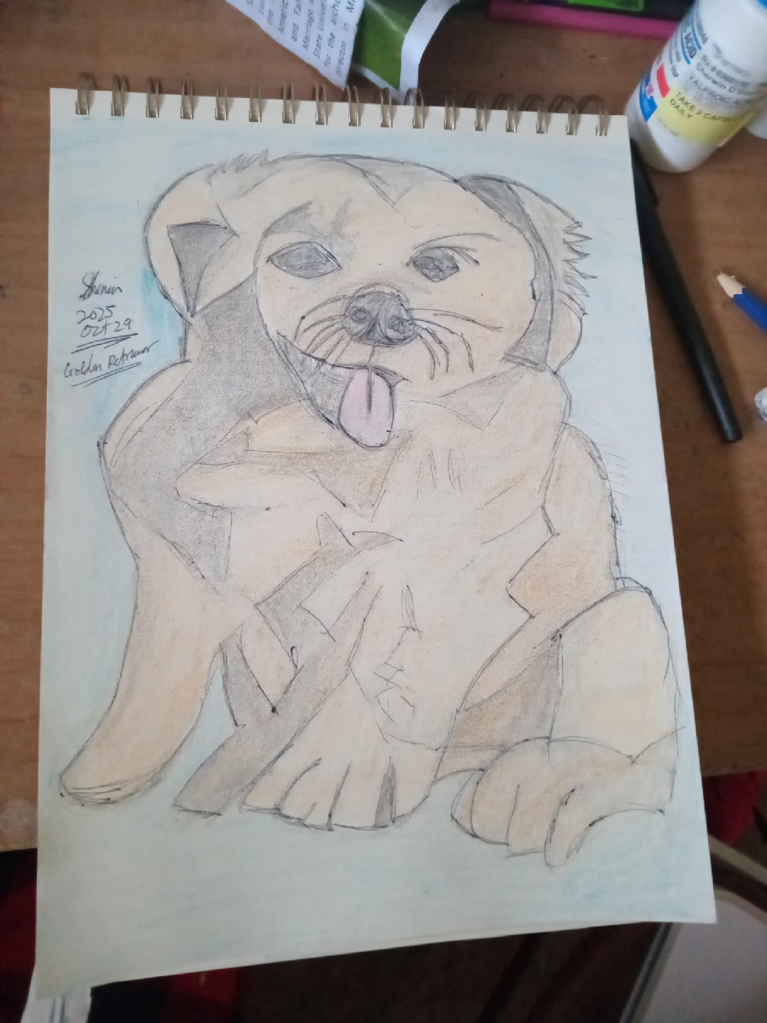 Golden Retriever Drawing Illustration by custom artist Sherwin - photo 5