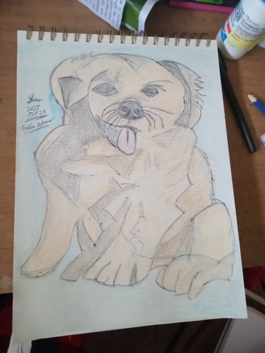 Golden Retriever Drawing Illustration by custom artist Sherwin image indicator(5)