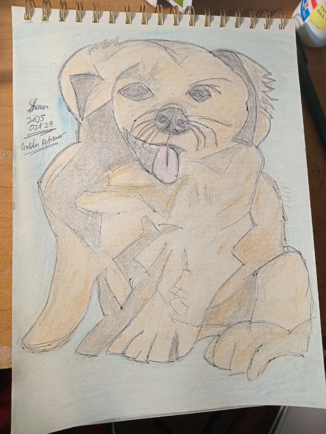 Golden Retriever Drawing Illustration by custom artist Sherwin image indicator(6)