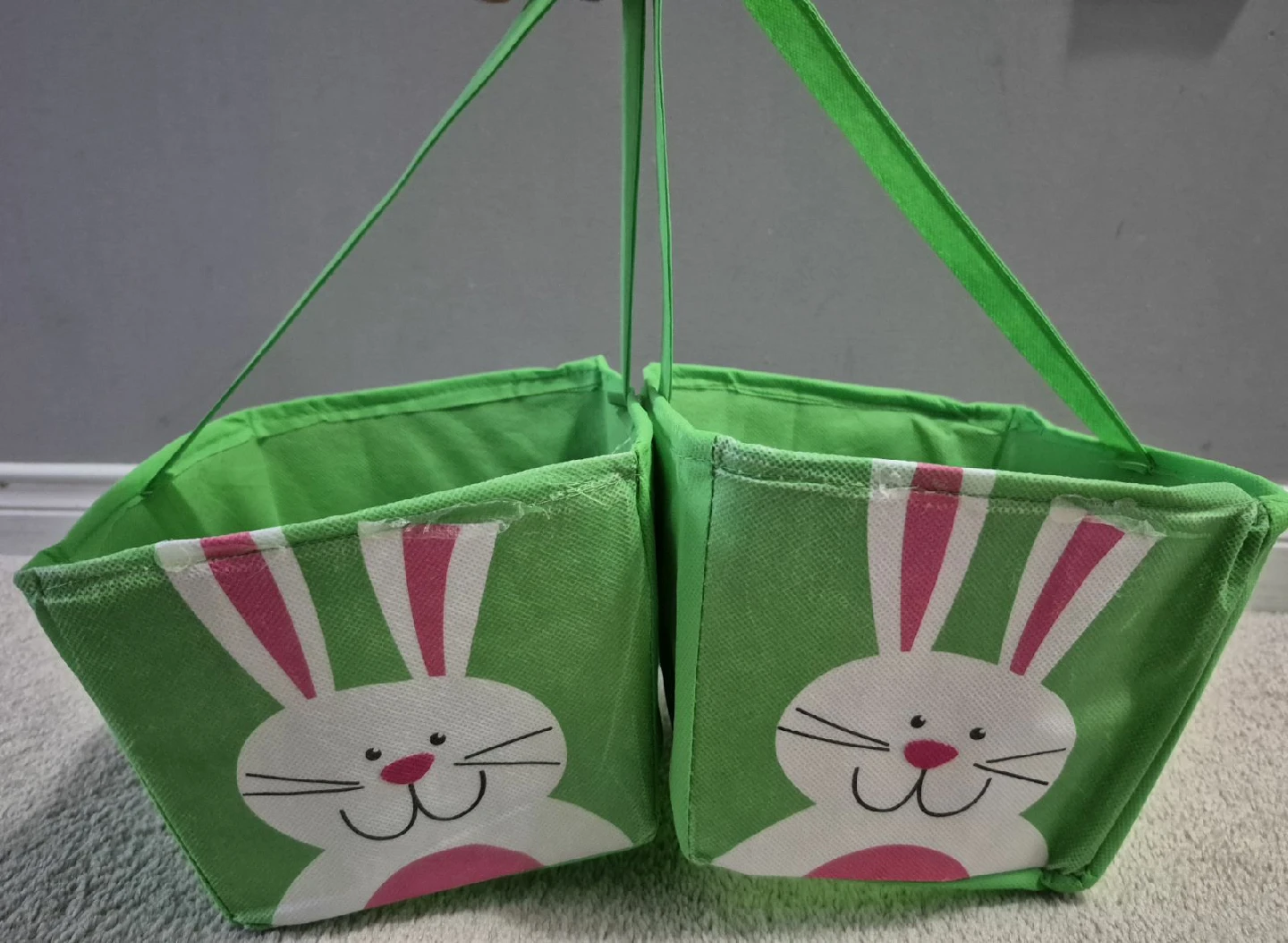 Easter Bunny Baskets and Eggs - photo 4