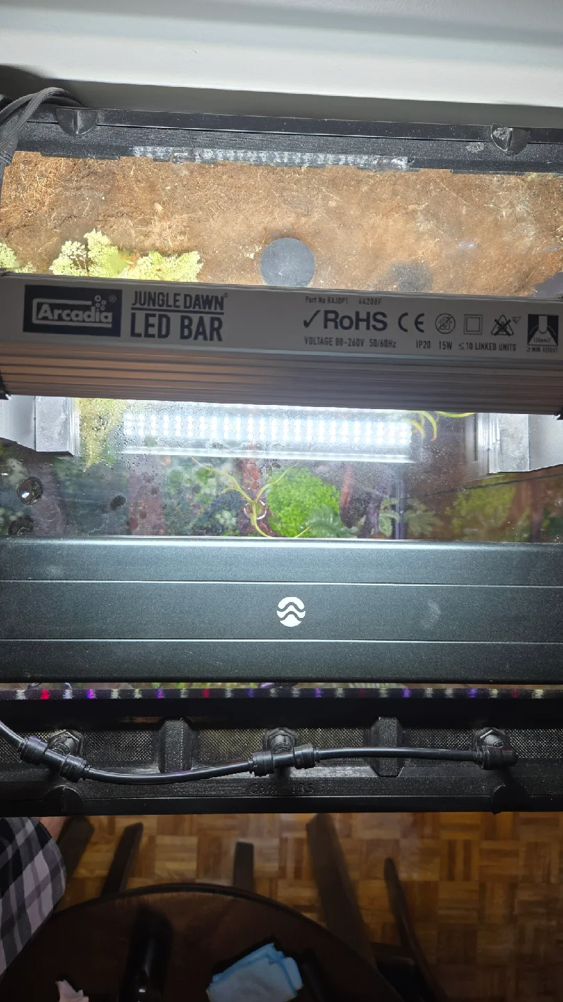 Complete Terrarium / Paludarium image indicator(4)