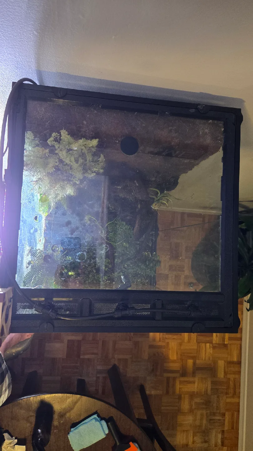 Complete Terrarium / Paludarium image indicator(5)